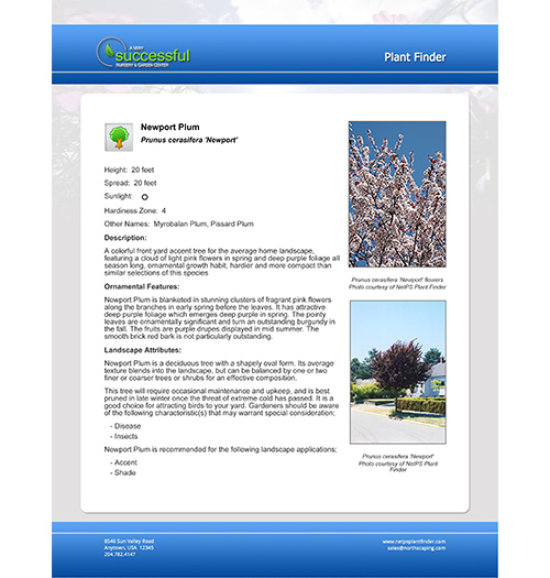 NetPS Plant Finder Printable Plant Information Page